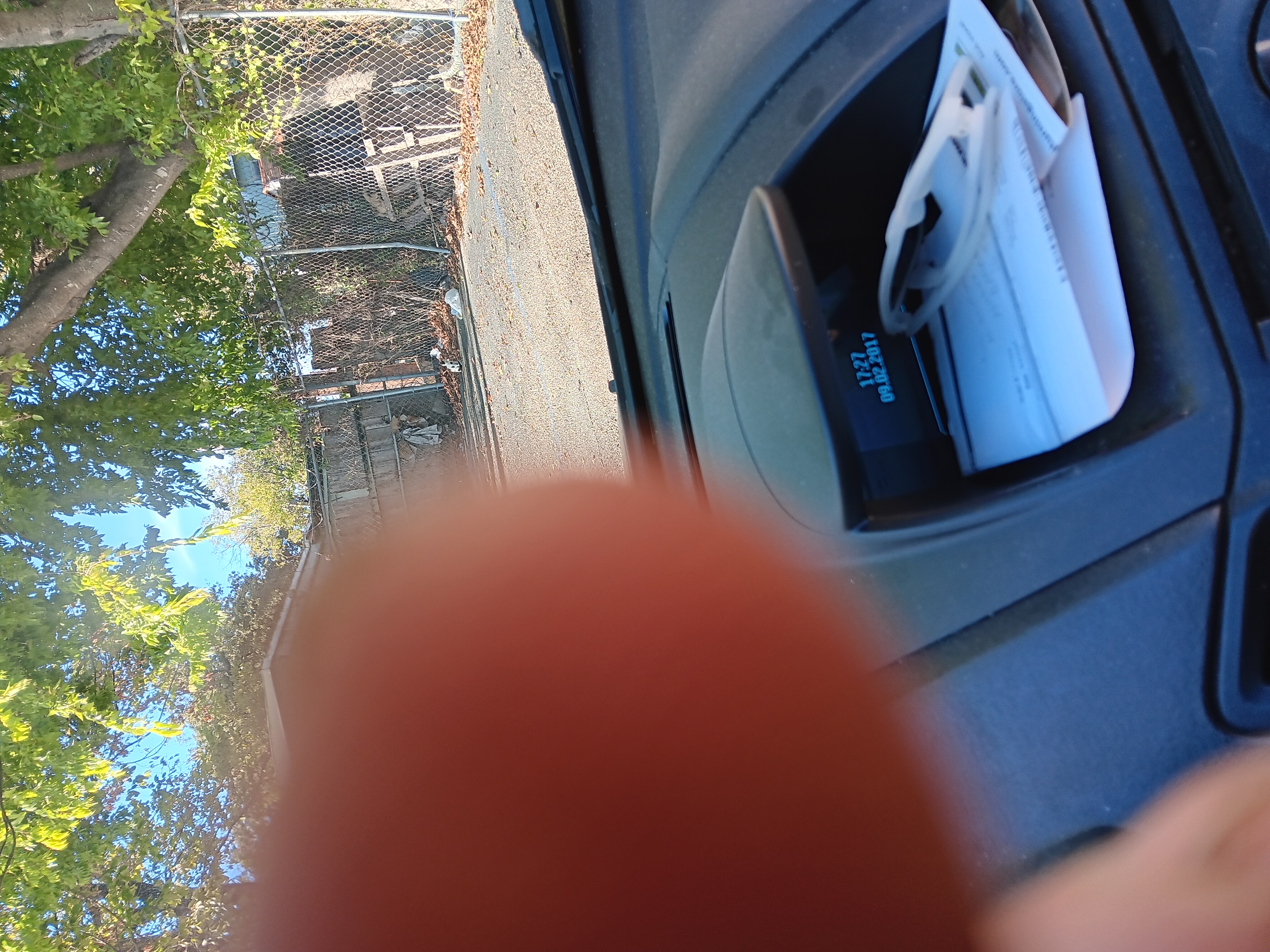 20241122_152315.jpg